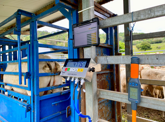 NAIT Tag Reader | Trusted by 5000 Farmers